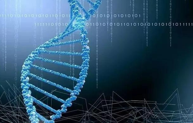 解析 GPU 算力租賃在生命科學中的關(guān)鍵應用